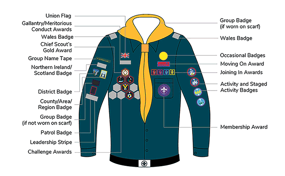 scout badges